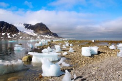Эксперты обсудили проблему глобального изменения климата в Арктике