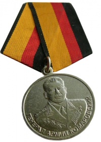 Награждён медалью Министерства обороны РФ