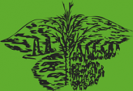Международная экологическая студенческая конференция "Экология России и сопредельных территорий"