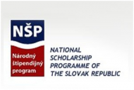 Словацкая стипендиальная программа для преподавателей и студентов